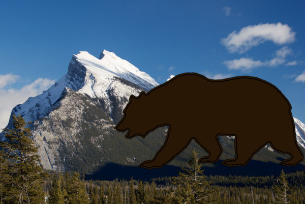 Banff Grizzly